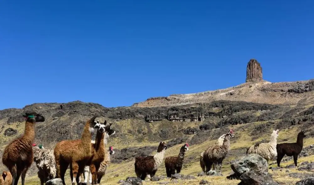 Apu Tambraico está ubicado en Huancavelica. Foto: Ministerio de Cultura