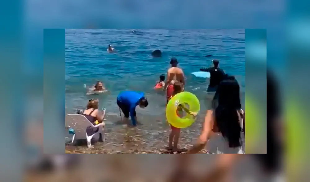 Desliza la imagen compartida en YouTube para verlas todas. Foto: @simonarann/Twitter