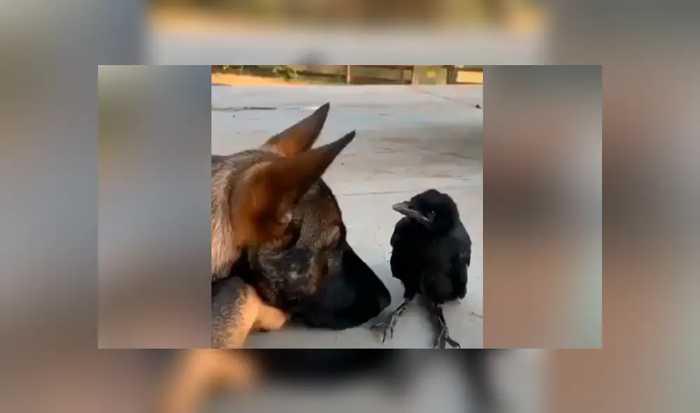 Desliza para ver los momentos más emotivos del video que se hizo viral en YouTube. Desliza para ver los momentos más emotivos del video que se hizo viral en YouTube.