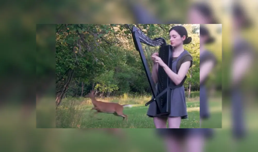Desliza las imágenes para ver más sobre esta joven que fue sorprendida por un ciervo en pleno 'concierto'. (Foto: captura)