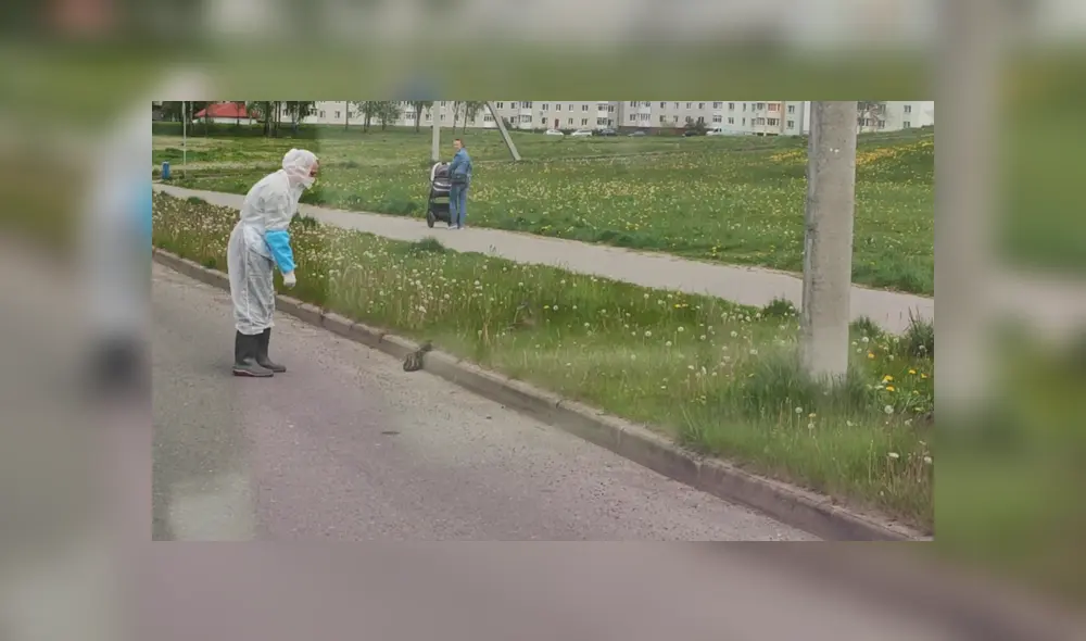 En YouTube se hizo viral el tierno momento en que un trabajador médico ayuda a cruzar la pista a unos patos.