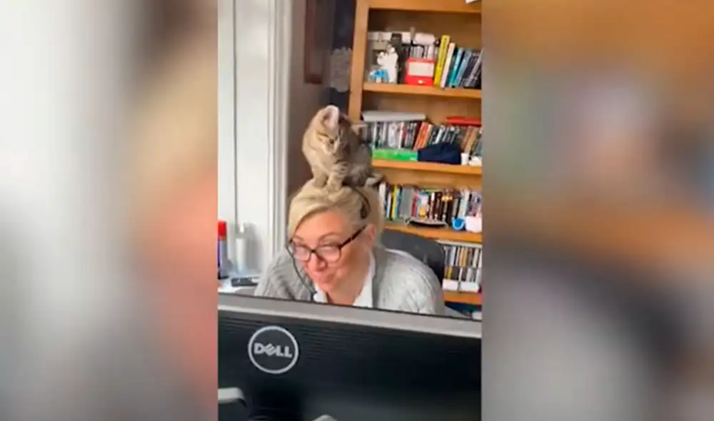 Desliza las imágenes para conocer la inesperada acción de un gato cuando intentó acompañar a su dueña. Foto: YouTube