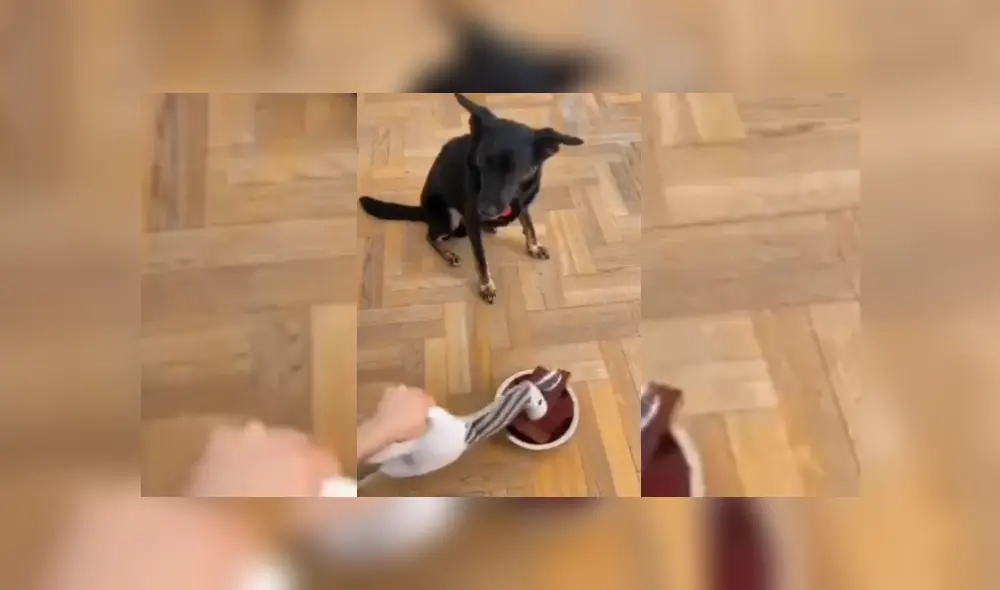 Desliza hacia la izquierda para ver más del video viral. Fotocaptura: Twitter Desliza hacia la izquierda para ver más del video viral. Fotocaptura: Twitter