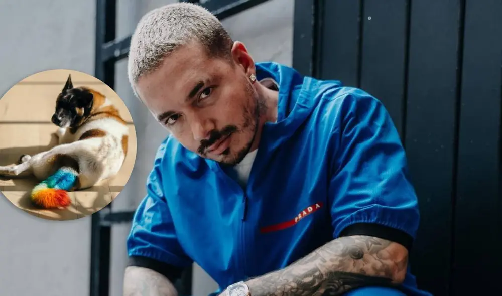 J Balvin detalló los componentes que utilizó para poder plasmar un arcoíris en el cachorro. Foto: Composición Instagram