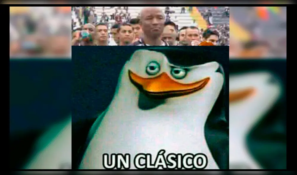 Alianza Lima vs. Binacional: memes tras la final en Matute. Alianza Lima vs. Binacional: memes tras la final en Matute.