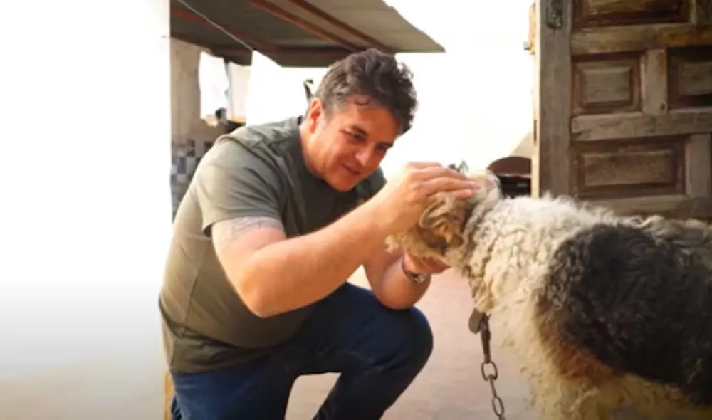 Desliza las imágenes para ver el drástico cambio que experimentó esta perrita callejera tras ser rescatada. Fotocaptura: Víctor Larkhill/YT Desliza las imágenes para ver el drástico cambio que experimentó esta perrita callejera tras ser rescatada. Fotocaptura: Víctor Larkhill/YT