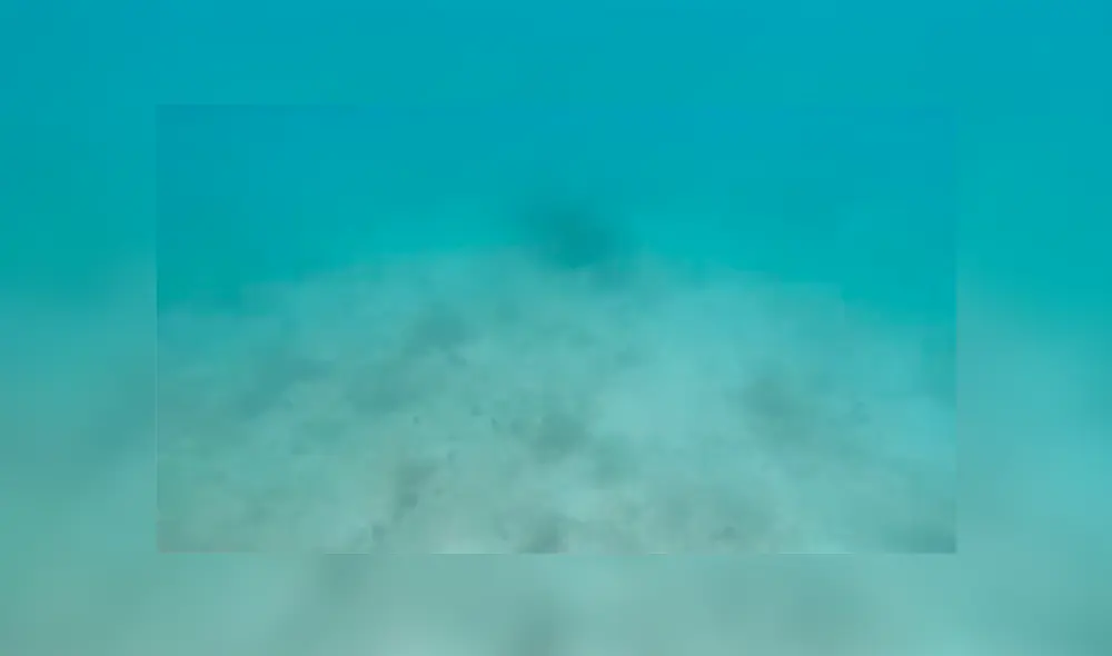 Un video viral muestra cómo un hombre hizo algo increíble para evitar se devorado por un gigantesco tiburón.