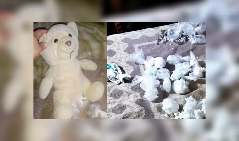 El oso de peluche tenía 200 envoltorios de marihuana y cocaína.