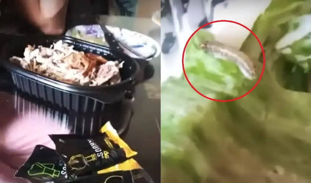 Pollo a la brasa Pollo a la brasa