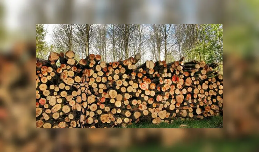 Desliza las imágenes para ver la respuesta de este complejo reto visual de Facebook.Foto: Jörg Düsterwald