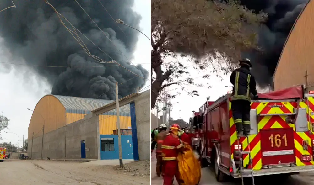 Foto: María Pía Ponce/URPI_GLR.