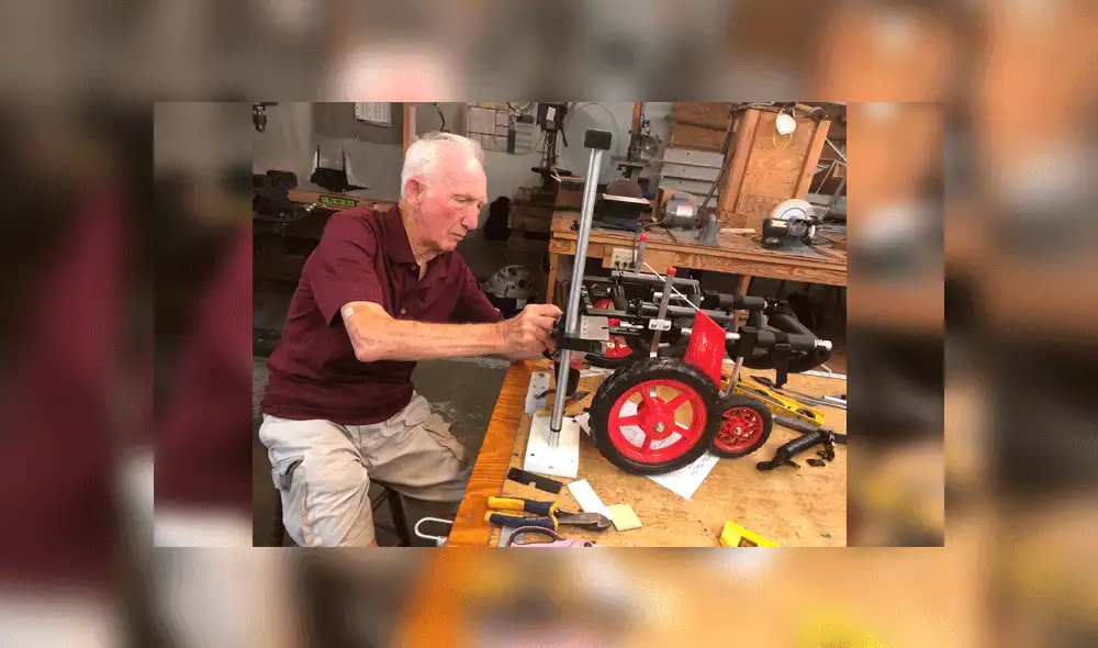 Veterinario de 90 años fabrica sillas de ruedas para ayudar a mascotas