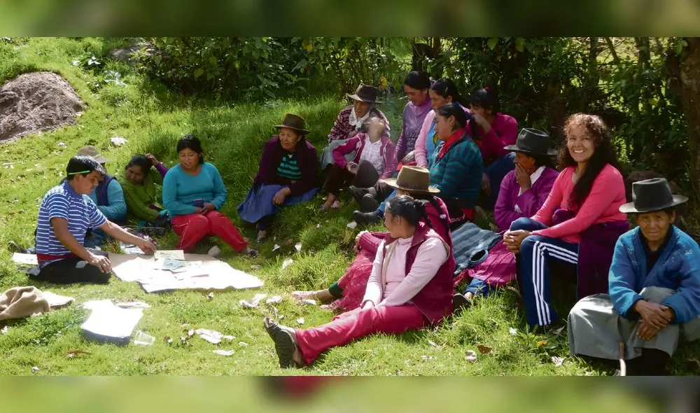 Destacan el uso de plantas nativas para hacer frente al cambio climático en Apurímac