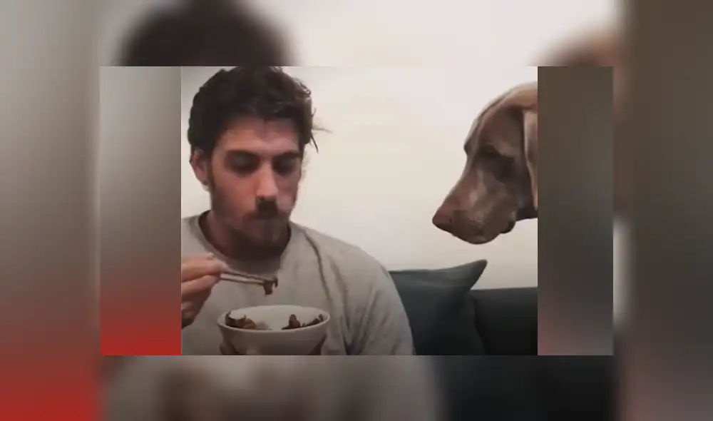 Desliza hacia la izquierda para ver las imágenes del viral de Facebook. Desliza hacia la izquierda para ver las imágenes del viral de Facebook.