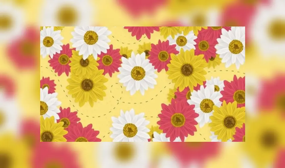 Desliza hacia la izquierda para ver dónde está la abeja