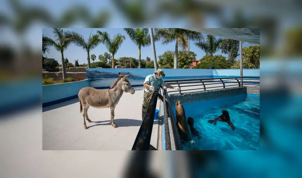 (Foto: Municipalidad de Lima)