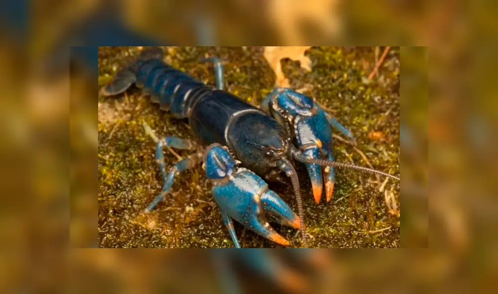 Desliza la imagen de Facebook para ver todas las fotos. Desliza la imagen de Facebook para ver todas las fotos.