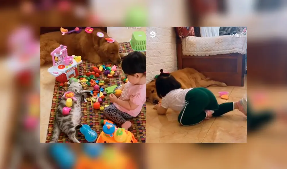 Desliza a izquierda para ver la tierna escena que ha conmovido a los usuarios de YouTube. Foto: Captura.