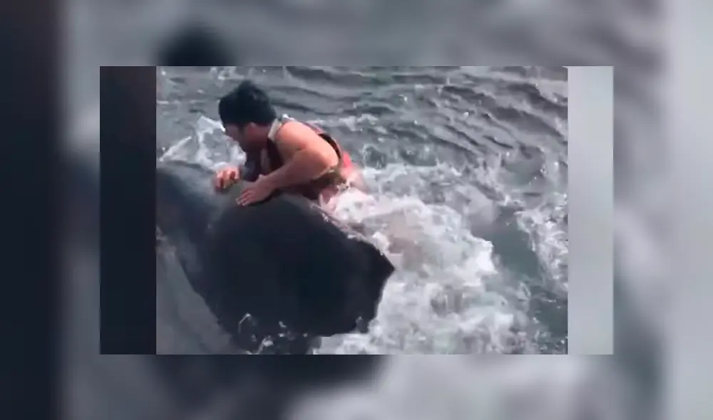 Mira la secuencia del video deslizando la imagen. Foto: Newsflare/YouTube Mira la secuencia del video deslizando la imagen. Foto: Newsflare/YouTube