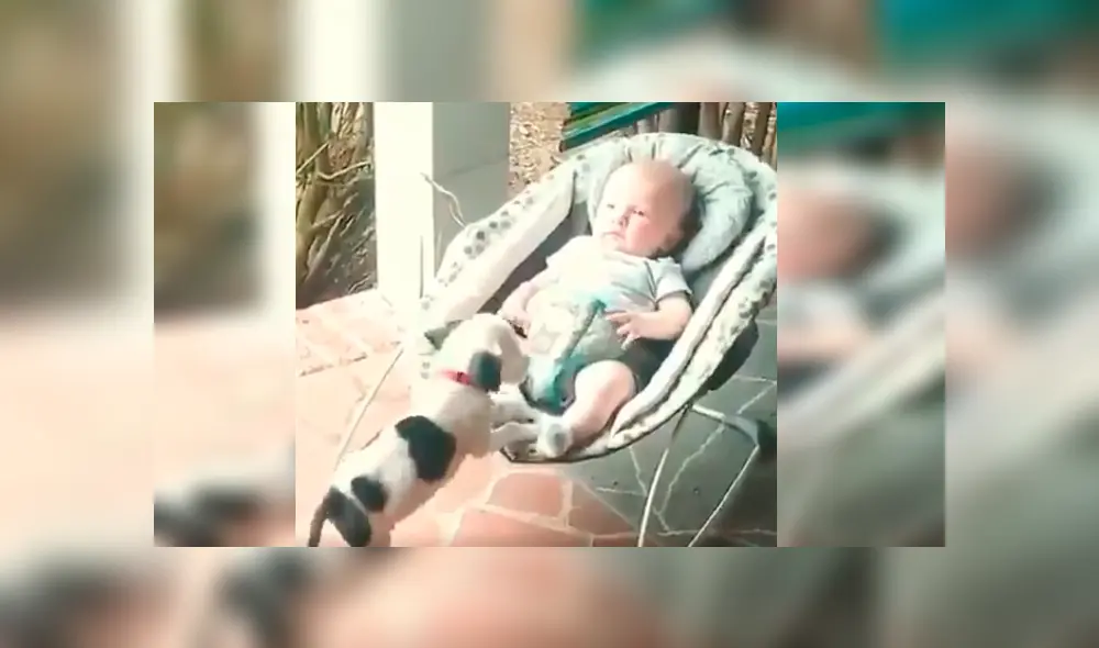 El curioso episodio quedó registrado por la mamá del bebé, quien no dudó en compartir las imágenes en Facebook y otras redes El curioso episodio quedó registrado por la mamá del bebé, quien no dudó en compartir las imágenes en Facebook y otras redes