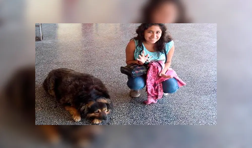 Facebook: alumnos de la UNMSM comparten fotografías inéditas de 'Perrovaca' [FOTOS]