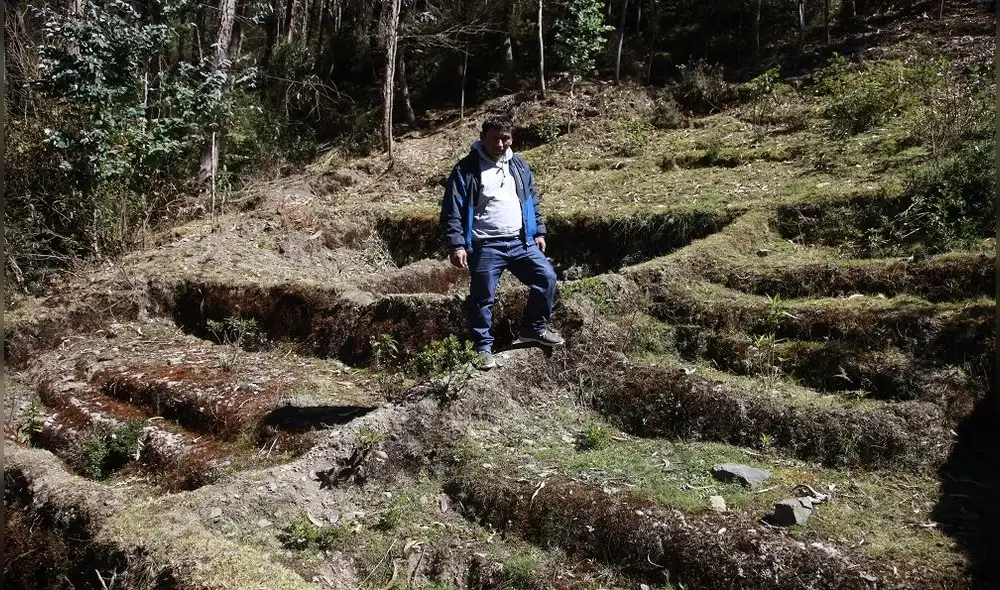 Chungui, historia de los que buscan