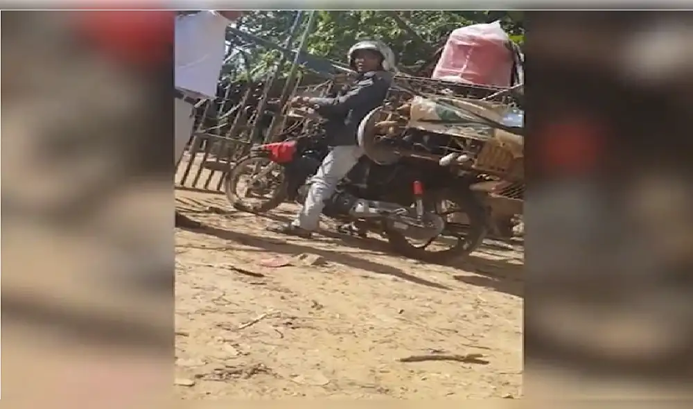 Graban condiciones de maltrato a perros en matadero de Camboya [VIDEO y FOTOS]