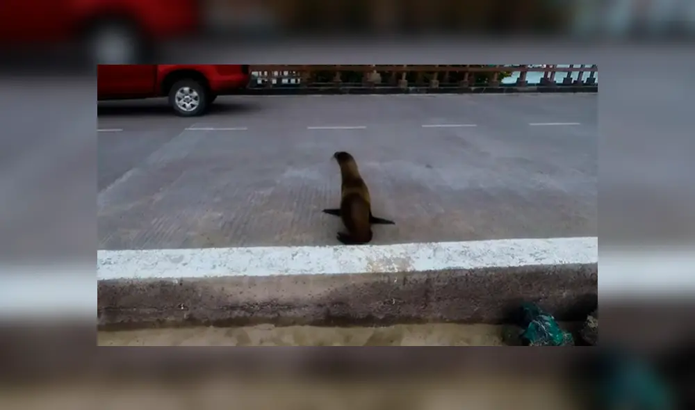 Desliza para ver los momentos más sorprendentes del video que se hizo viral en YouTube. Desliza para ver los momentos más sorprendentes del video que se hizo viral en YouTube.