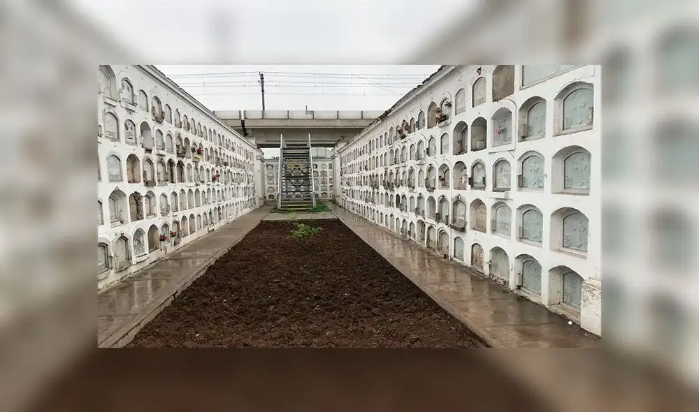 Recuperarán áreas verdes del Museo Cementerio Presbítero Maestro [FOTOS]