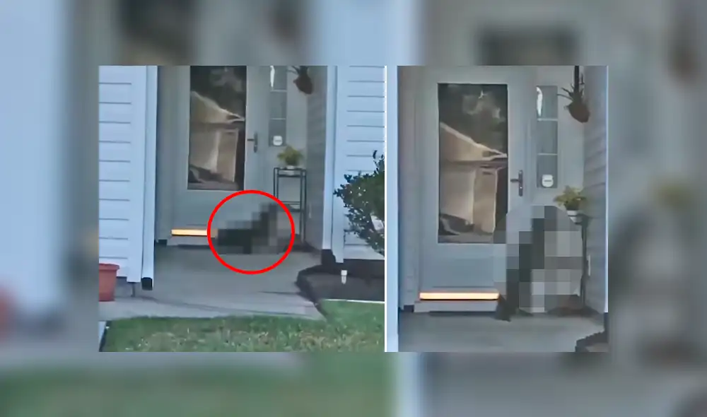 Facebook viral: llega a su casa y encuentra a misteriosa criatura tocando su puerta [VIDEO]