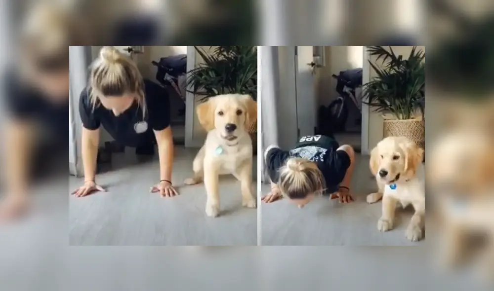 Desliza hacia la izquierda para ver la divertida escena viral de YouTube. Foto: ViralHog. Desliza hacia la izquierda para ver la divertida escena viral de YouTube. Foto: ViralHog.