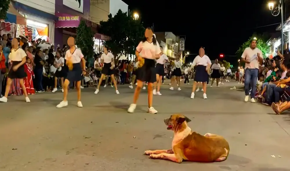 Después que ignoró el llamado de los espectadores, el travieso can se quedó tranquilo y nadie pudo retirarlo de su sitio. Foto: composición LR/Facebook/Valle de Santiago, GTO Después que ignoró el llamado de los espectadores, el travieso can se quedó tranquilo y nadie pudo retirarlo de su sitio. Foto: composición LR/Facebook/Valle de Santiago, GTO