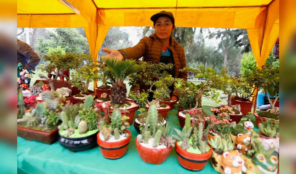 Campo de Marte: Feria 'De la Chacra a la Olla' ofrece una gran variedad de productos agrícolas [FOTOS]