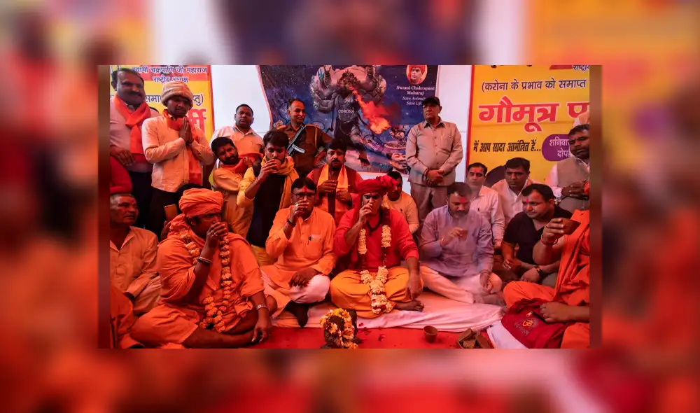 Beben orina de vaca como “remedio natural” contra el coronavirus durante festividad en la India Beben orina de vaca como “remedio natural” contra el coronavirus durante festividad en la India