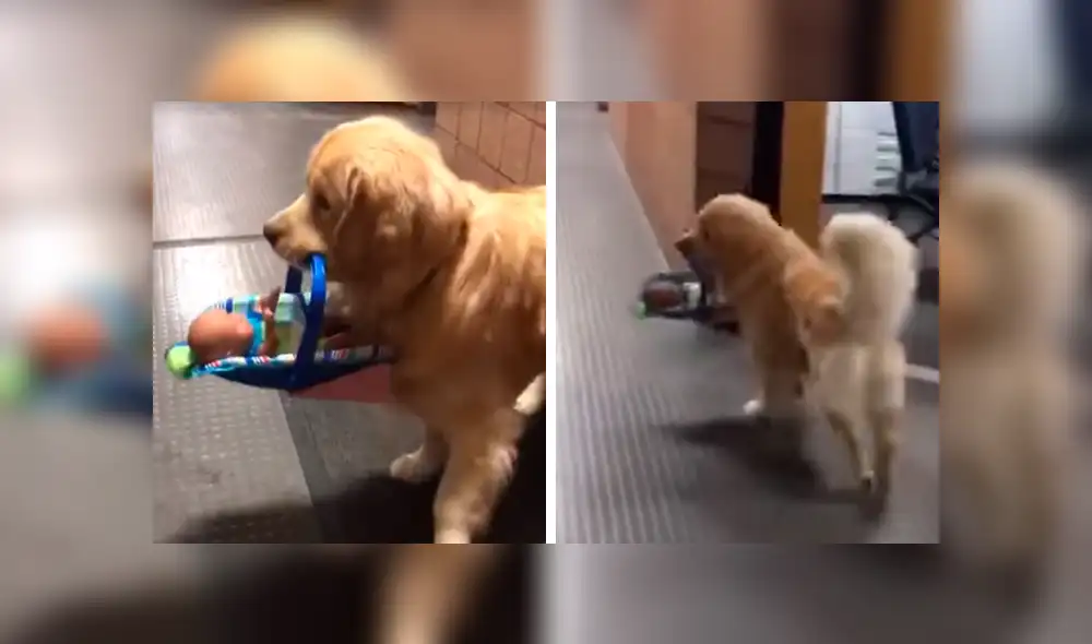 Los agentes nunca imaginaron que uno de los suyos robaría los juguetes que planeaban darle a una fundación de caridad. Foto: captura.