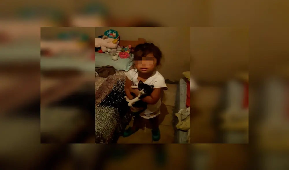 En Facebook, una pequeña escondió a un indefenso gato y su travesura fue descubierta por su madre.
