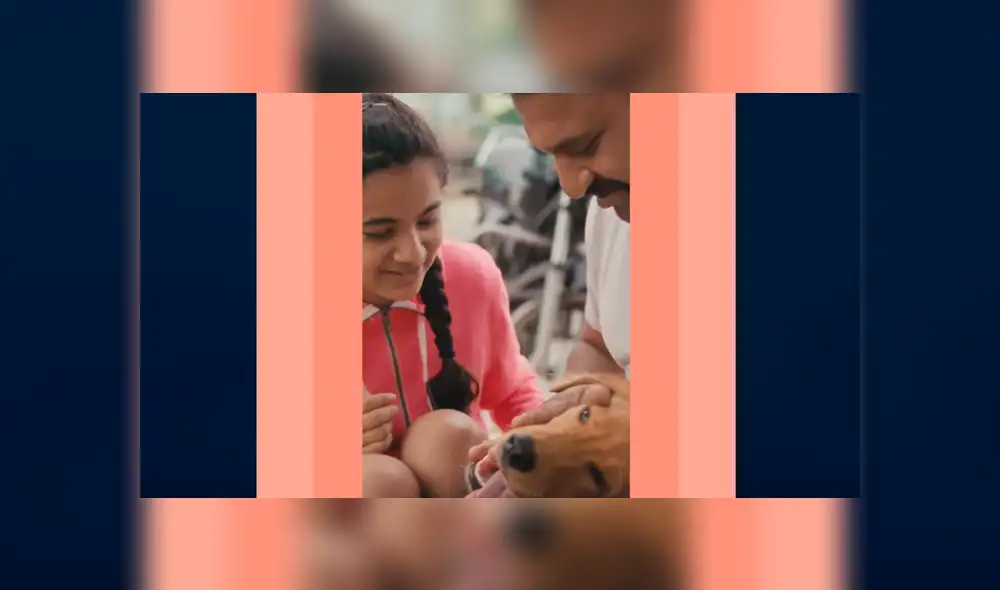 WhatsApp cumplió 10 años y lo celebró repasando sus mejores avances [VIDEO]