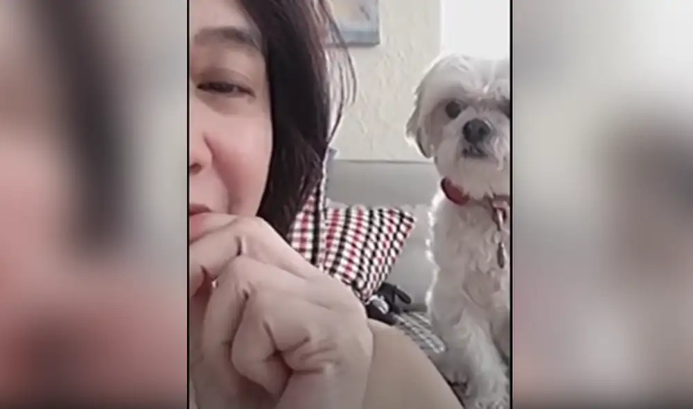 Desliza hacia la izquierda para ver las imágenes del video viral. Foto: Captura de YouTube.