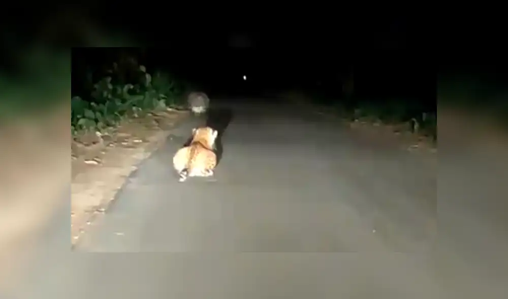 Desliza hacia la izquierda para ver las imágenes del viral de Facebook. Desliza hacia la izquierda para ver las imágenes del viral de Facebook.