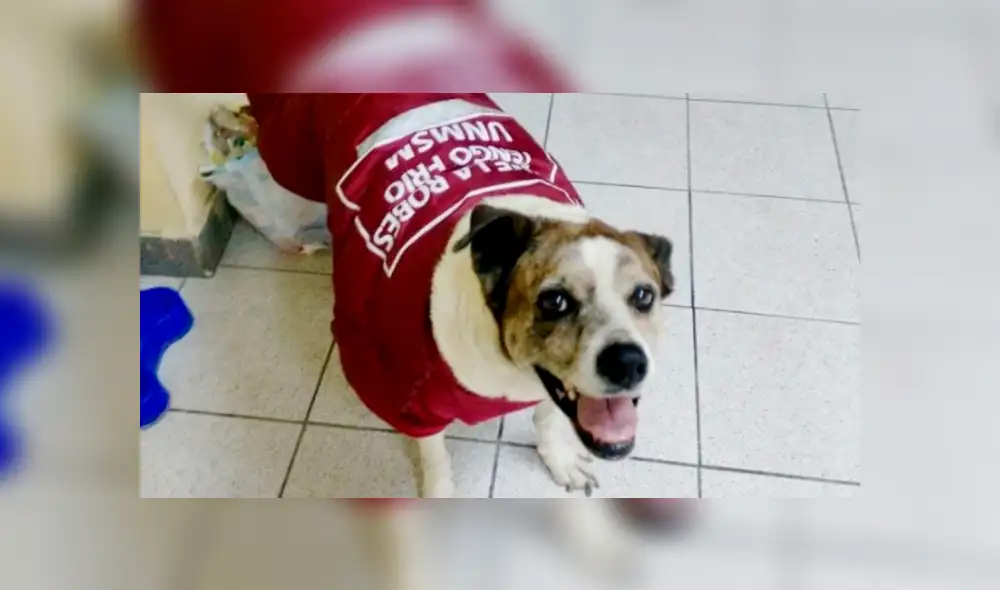 Máscara, de la UNMSM, está en primer lugar. Foto: Nukhan.