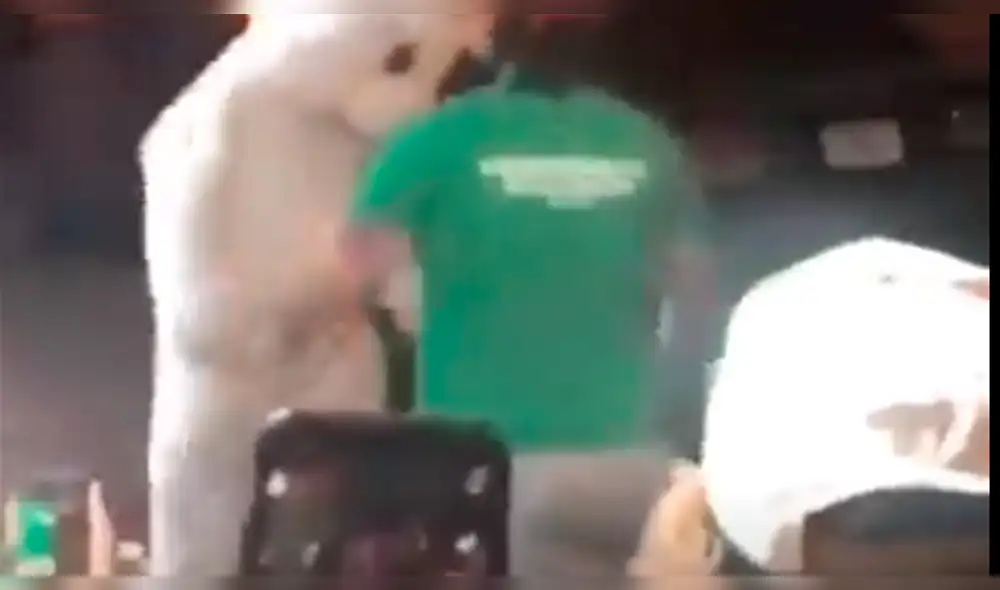 YouTube: 'Conejo de Pascua' salva el día a mujer que era agredida por su novio [VIDEO]