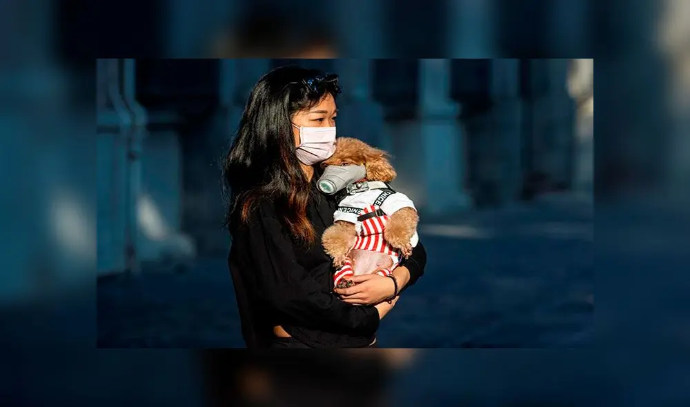 Una mujer y su perro pasean este viernes por la ciudad china de Cantón protegidos con una mascarilla. Foto: EFE Una mujer y su perro pasean este viernes por la ciudad china de Cantón protegidos con una mascarilla. Foto: EFE