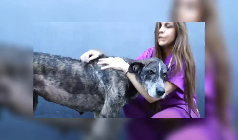 Desliza hacia la izquierda para ver las imágenes del viral de Facebook.