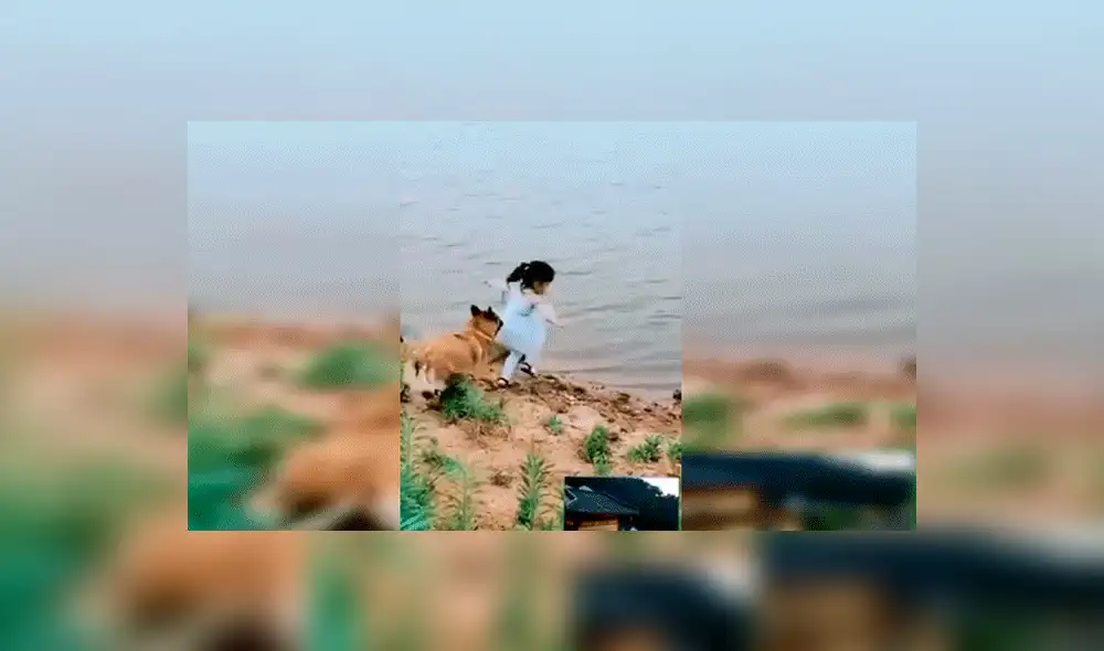 Facebook viral: niña se aproxima a peligroso río para sacar pelota y su perro llega a su rescate [VIDEO] 