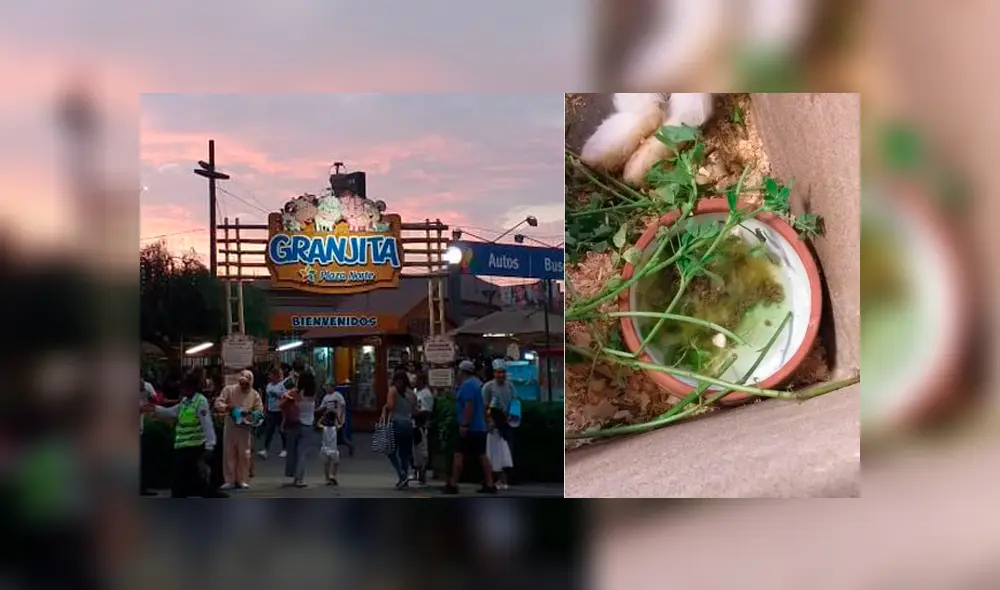 Denuncian que animales viven en malas condiciones en la granja de Plaza Norte [FOTOS y VIDEO]