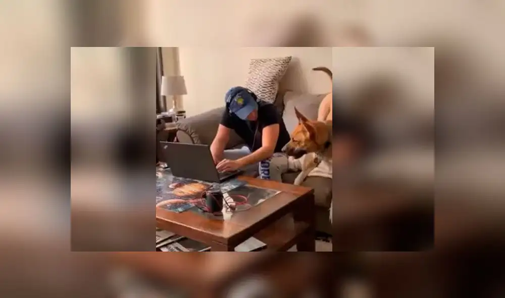 Desliza las imágenes para ver la peculiar escena que protagonizó un perro para evitar que su dueño haga teletrabajo. Foto: RM Videos