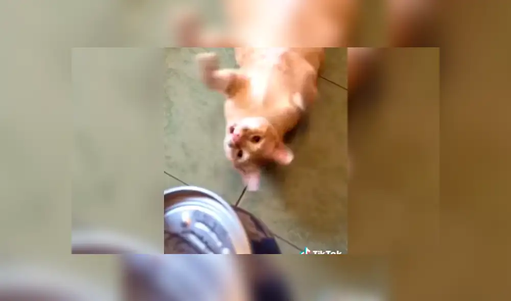 Desliza la imagen de Facebook para ver todas las fotos.