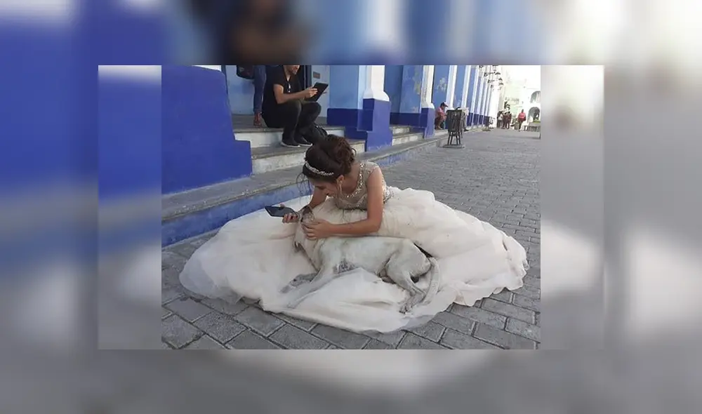 Desliza las imágenes para observar la acción de un perro al percatarse que una joven tenía una sesión de fotos.