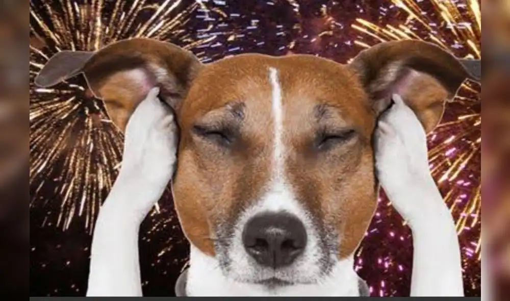 Foto: Difusión. Foto: Difusión.