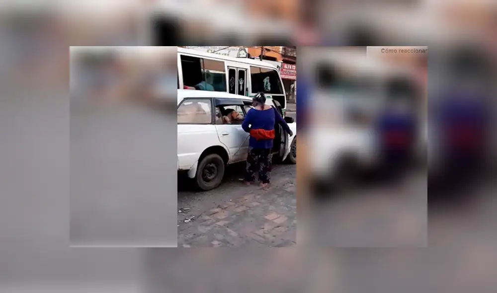 Video es viral en Facebook. La mujer se ganó los aplausos de miles de personas, luego de que adoptara a estos 8 perros que entraron de forma muy ordenada al taxi. Foto: Captura. Video es viral en Facebook. La mujer se ganó los aplausos de miles de personas, luego de que adoptara a estos 8 perros que entraron de forma muy ordenada al taxi. Foto: Captura.